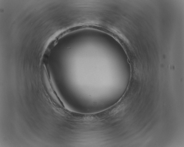 X0000077381316200611031926