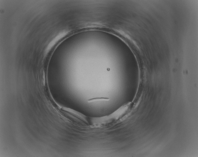 X0000077381317200611031926