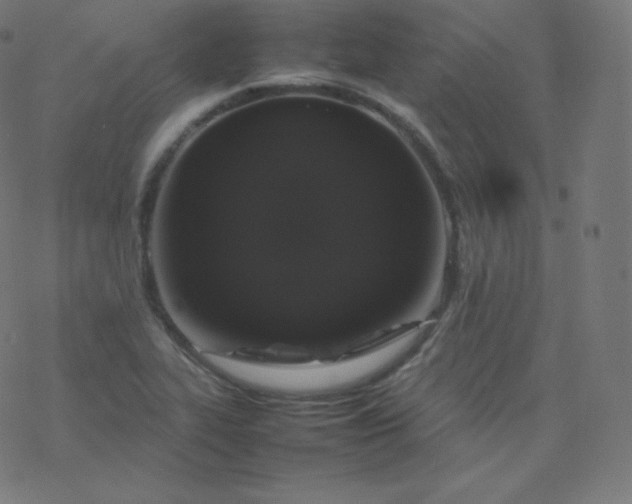 X0000077381319200611031926