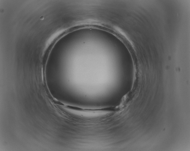 X0000077381320200611031926