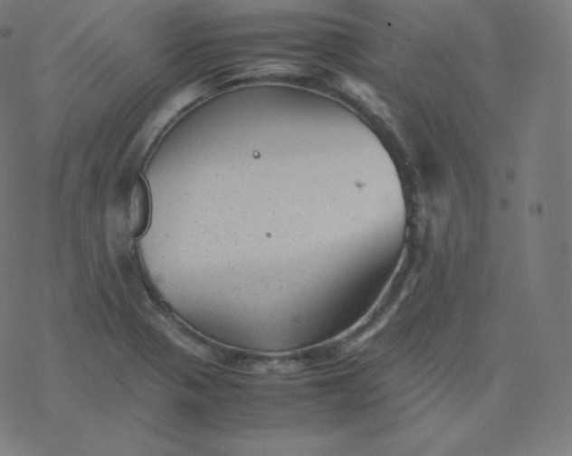 X0000077381321200611031926