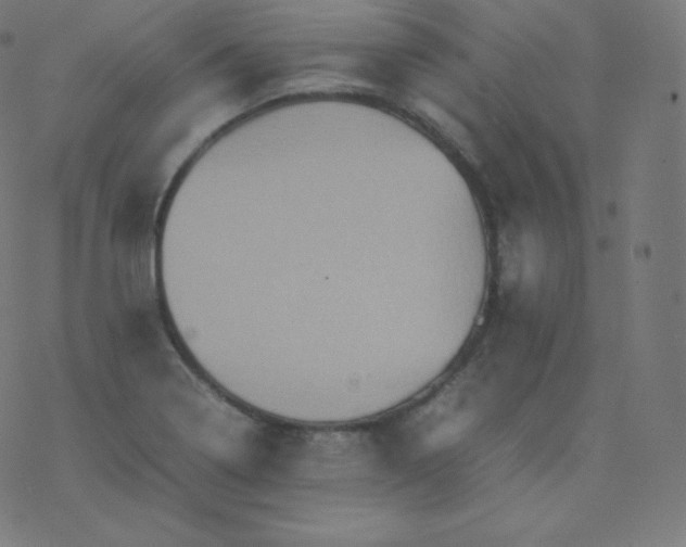 X0000077381322200611031926