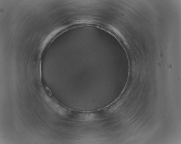 X0000077381323200611031926