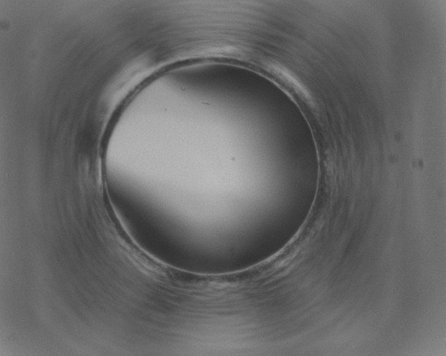 X0000077381324200611031926