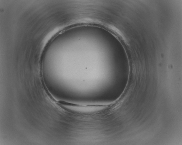 X0000077381326200611031927