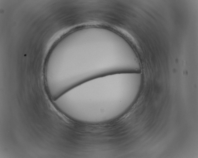 X0000077381327200611031927