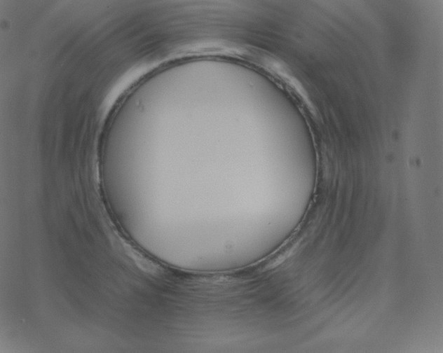 X0000077381328200611031927