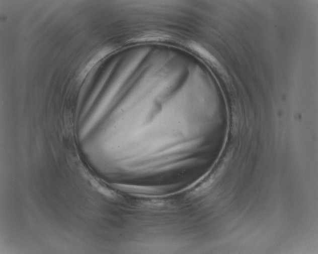 X0000077381329200611031927