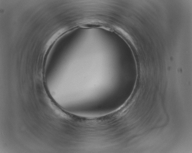 X0000077381330200611031927