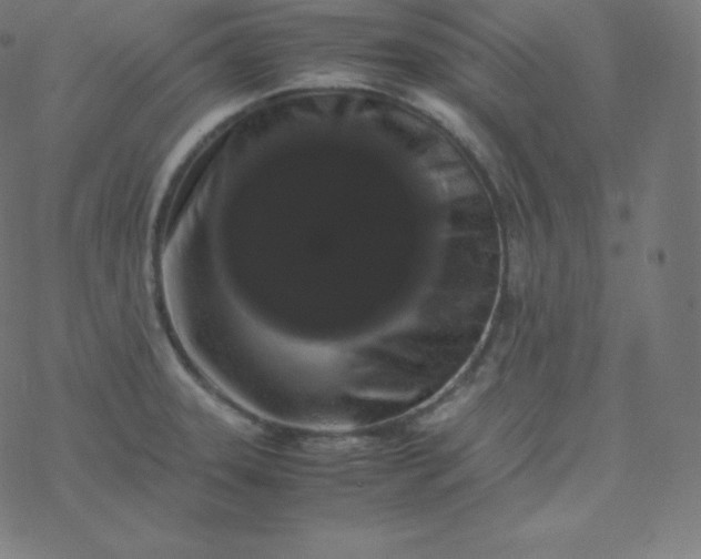 X0000077381331200611031927