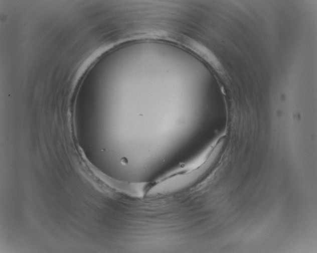 X0000077381332200611031927