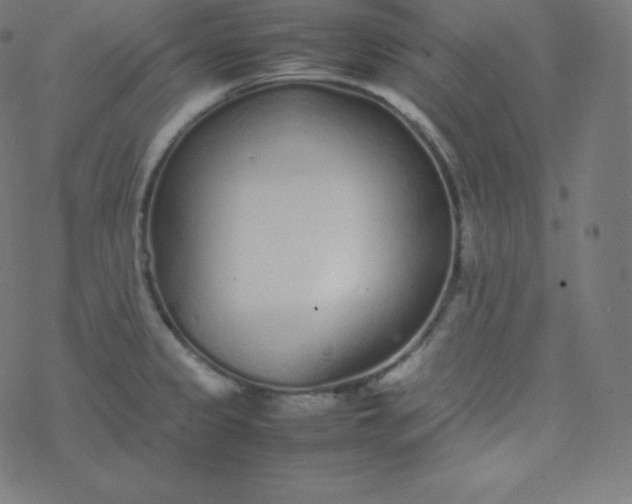 X0000077381333200611031927