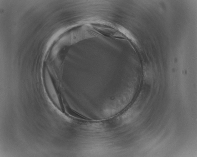 X0000077381334200611031927