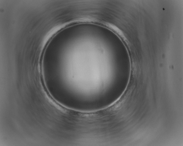 X0000077381335200611031927