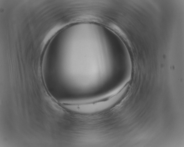 X0000077381336200611031927