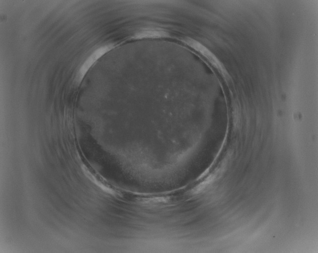 X0000077381337200611031927