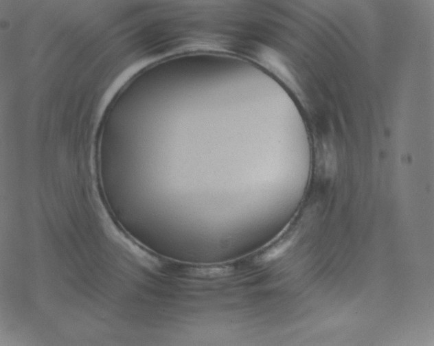 X0000077381339200611031927