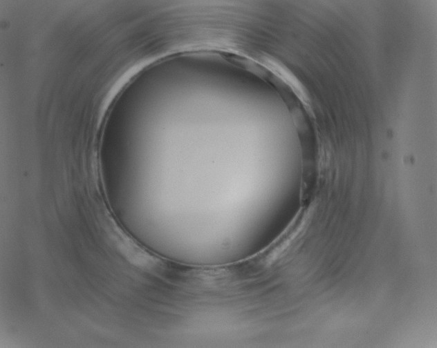 X0000077381340200611031927