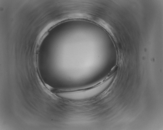 X0000077381342200611031927