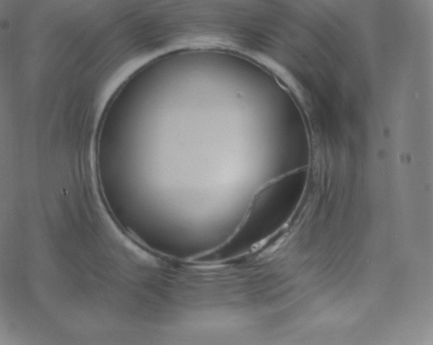 X0000077381343200611031927