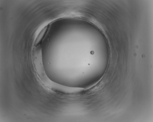 X0000077381344200611031927