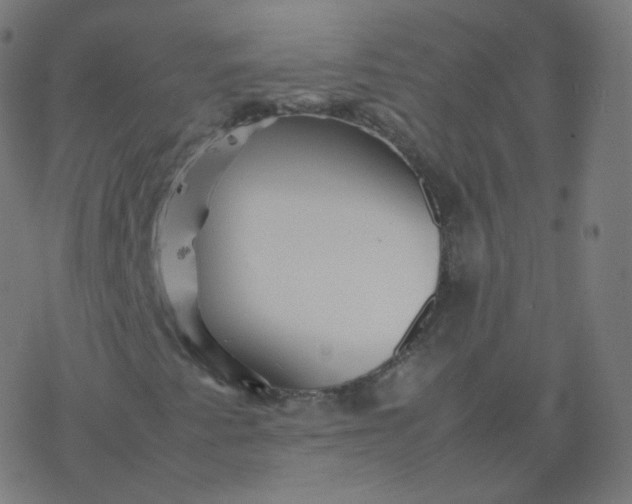 X0000077381345200611031926