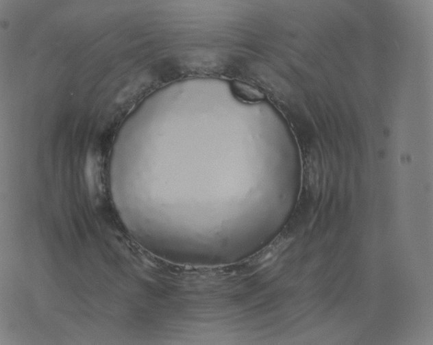 X0000077381346200611031926