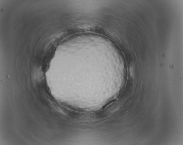 X0000077381347200611031926