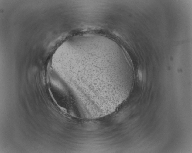 X0000077381348200611031926