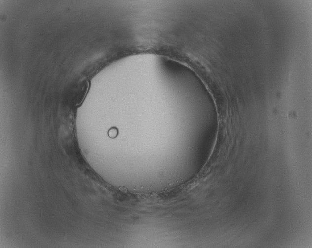 X0000077381349200611031926