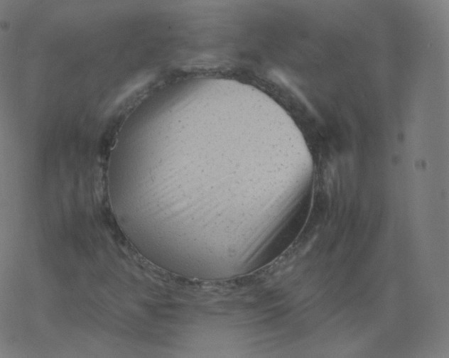 X0000077381350200611031926