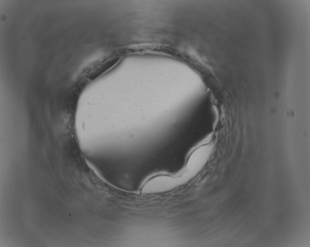 X0000077381351200611031926