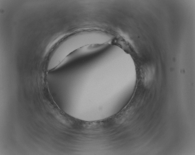 X0000077381352200611031926