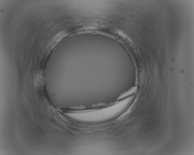 X0000077381353200611031926