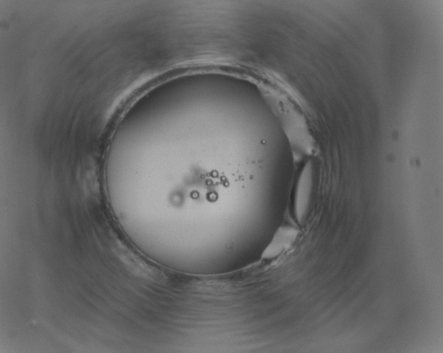 X0000077381356200611031926