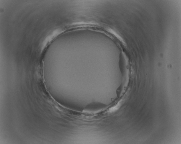 X0000077381357200611031926