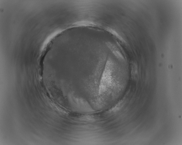 X0000077381358200611031926