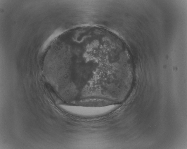 X0000077381359200611031926