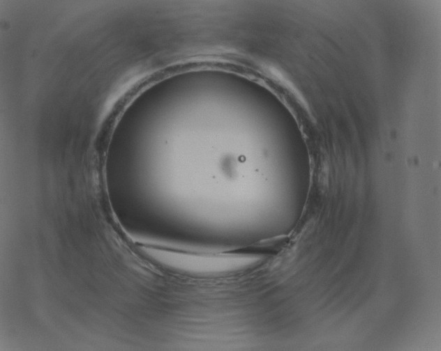 X0000077381360200611031926