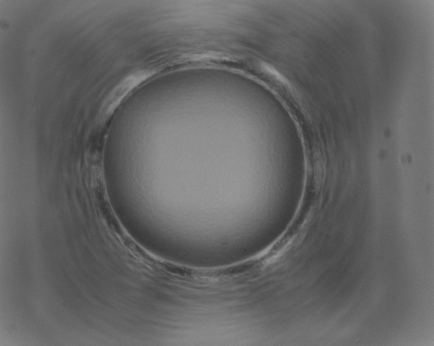 X0000077381361200611031926