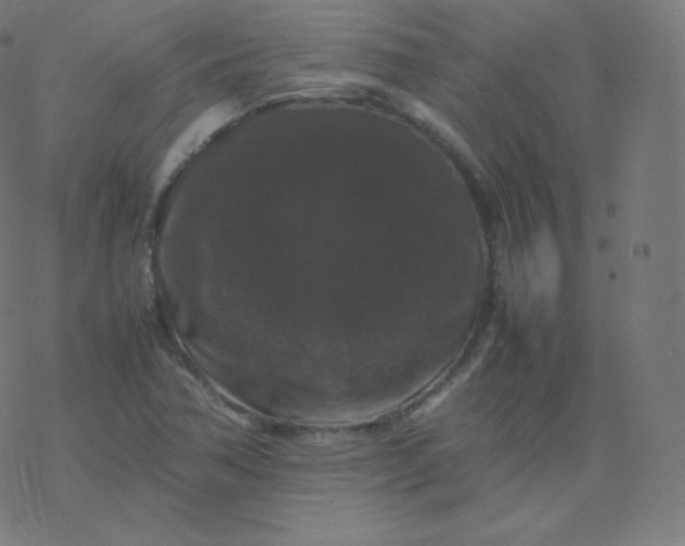 X0000077381362200611031926