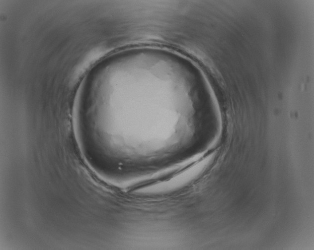 X0000077381363200611031926