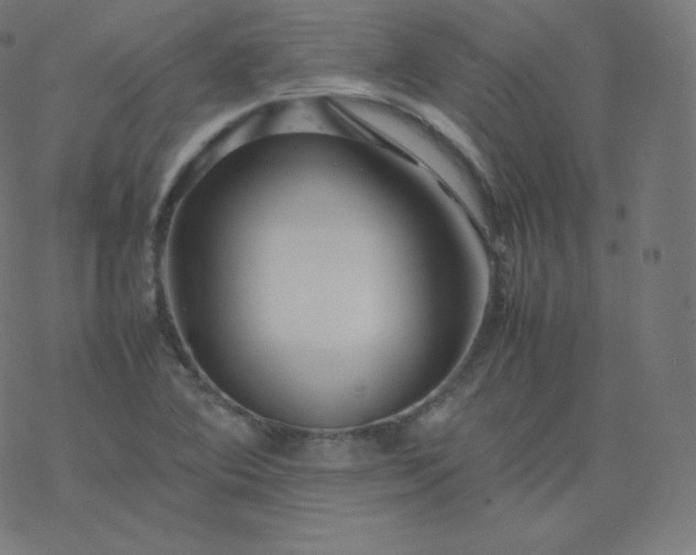 X0000077381364200611031926