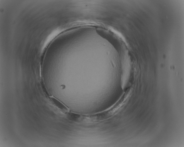 X0000077381365200611031926