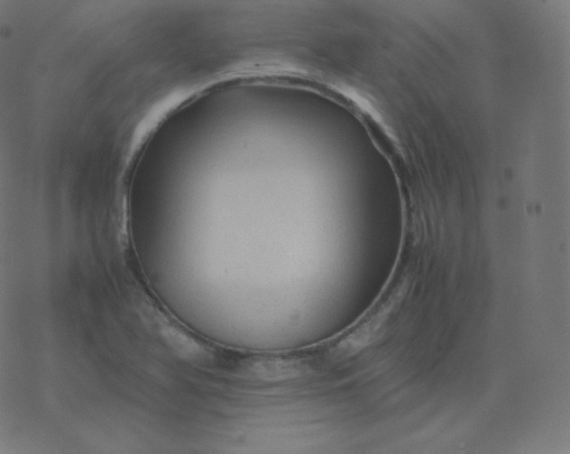 X0000077381366200611031926