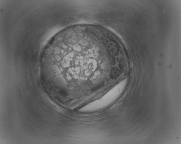 X0000077381367200611031926