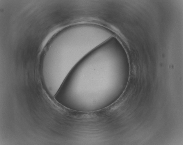 X0000077381368200611031926