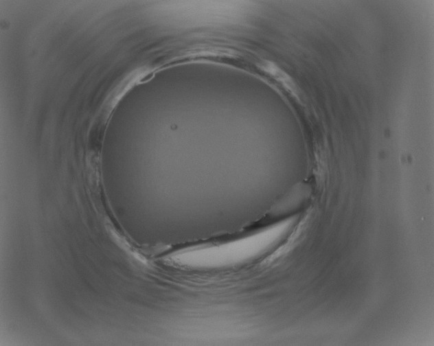 X0000077381369200611031926