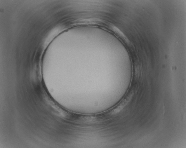 X0000077381370200611031926