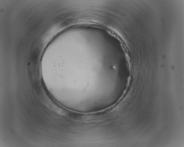 X0000077381371200611031926